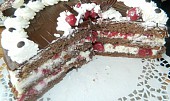Kakaový dort s višněmi (Řez dortu)