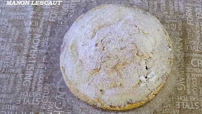 Moučník Manon Lescaut, Manon je všechno, co neznal jsem dosud. Říká klasik.