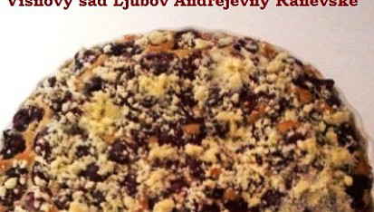 Višňový sad Ljubov Andrejevny Raněvské, Višňový sad Ljubov Andrejevny Raněvské.... to je příběh