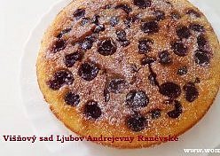 Višňový sad Ljubov Andrejevny Raněvské, Někdy ho dělávám i bez drobenky