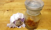 Česnek naložený v oleji a soli (Nakládaný česnek)