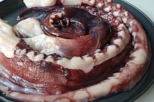 Základní suroviny - chapadla z kalamárů - na foto 1 kg