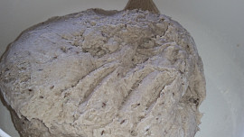 Polotmavý domácí chléb
