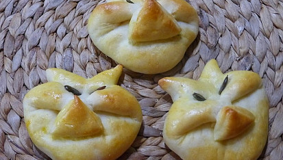 Kočičky