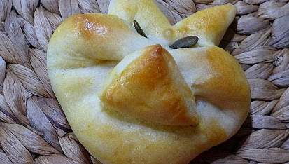 Kočičky
