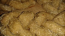 Žitné housky