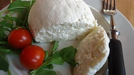 Čerstvý krémový sýr