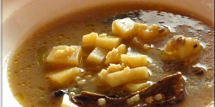 Grumbírová polévka s hřibama