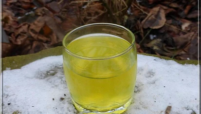 Pomerančový likér