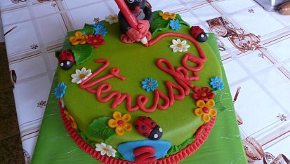 Dort Krtek a pastelka pro Venessku
