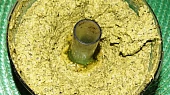 Pesto z kadeřávku s vlašskými ořechy