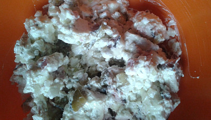 Salát ze sýrů Camembert a Cottage
