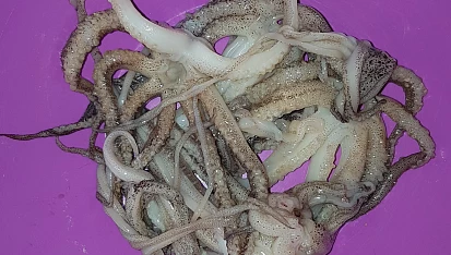 Kalamáry v těstíčku + opečená chapadla