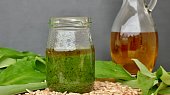 Pesto z medvědího česneku, Pesto z medvědího česneku, olivového oleje a soli. Další verze bude se slunečnicovým semínkem.