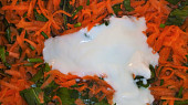Salát z mrkve a medvědího česneku s jogurtem