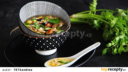 Vietnamská kuřecí (slepičí) polévka Súp Gà Nấm Hương