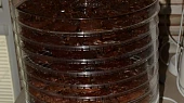 Hovězí jerky