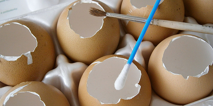 Velikonoční aspiková vejce