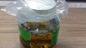 Domácí becherovka