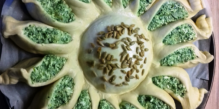 Špenátová slunečnice