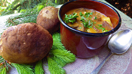 Gulášová polévka s lesními houbami
