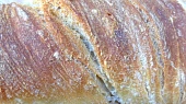 Bagety se starým těstem (old dough, pâte fermentée)