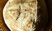 Obyčejný špaldový chléb s kváskem