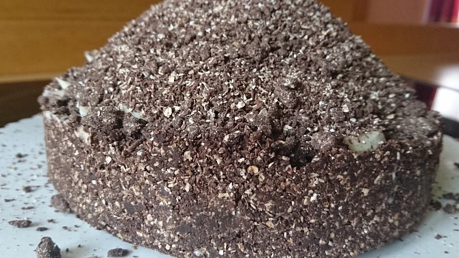 RAW krtkův dortík