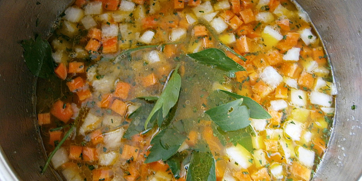 Zeleninová polévka posté