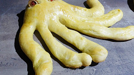 Chobotničky