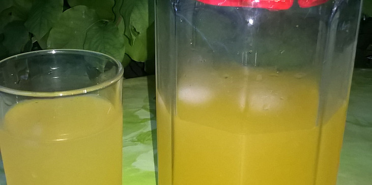 Domácí pomerančová limonáda pro osvěžení