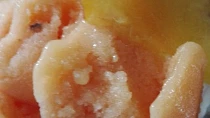 Broskvovy sorbet