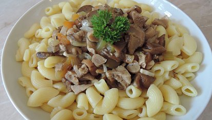 Švýcarské houbové ragú