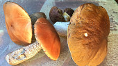 Filé z tresky s lesními houbami se smetanou