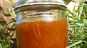 Kořeněná meruňková marmeláda s citrusovým pektinem
