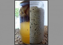 Kvásek z fermentované ovocné vody