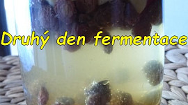 Kvásek z fermentované ovocné vody
