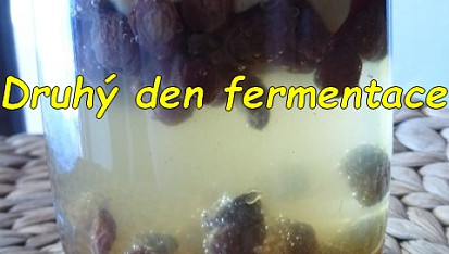 Kvásek z fermentované ovocné vody