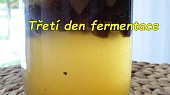 Kvásek z fermentované ovocné vody