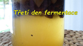 Kvásek z fermentované ovocné vody