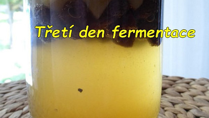 Kvásek z fermentované ovocné vody