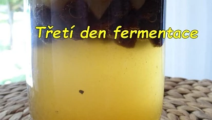 Kvásek z fermentované ovocné vody