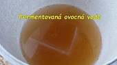 Kvásek z fermentované ovocné vody