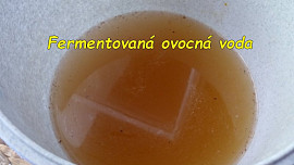 Kvásek z fermentované ovocné vody