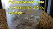 Kvásek z fermentované ovocné vody