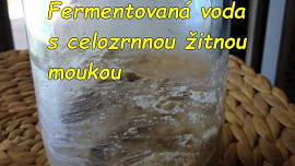 Kvásek z fermentované ovocné vody