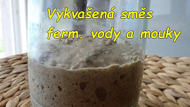 Kvásek z fermentované ovocné vody