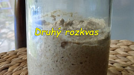 Kvásek z fermentované ovocné vody