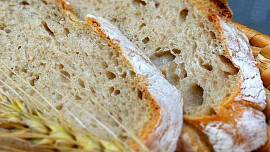 Pain de Campagne (česká verze)