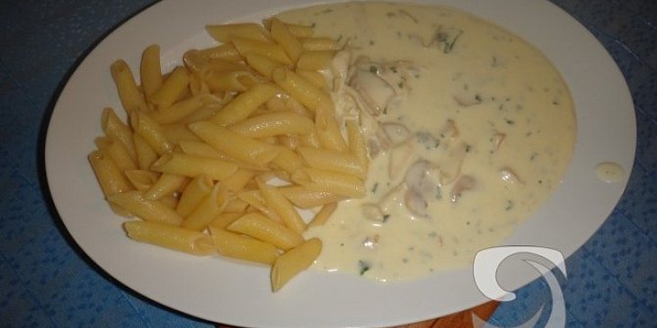 Penne se sýrovou omáčkou